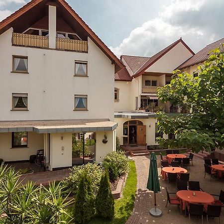Hotel Pfaffenhofen Schwabenheim an der Selz Zewnętrze zdjęcie