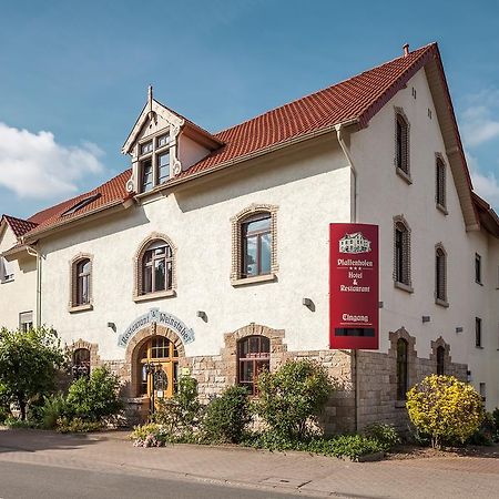 Hotel Pfaffenhofen Schwabenheim an der Selz Zewnętrze zdjęcie